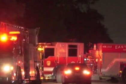 12-year-old Boy Killed in Hit-and-Run after Falling from Bicycle in Harris County