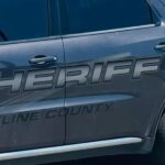 15-year-old Girl Fatally Mauled by Rescued Dogs in Arkansas, Authorities say