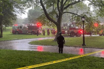 15-year-old Struck by Lightning in Central Park during Thunderstorm