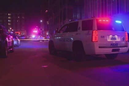 18-year-old faces Charges after Deadly Pedestrian Crash in St. Louis County