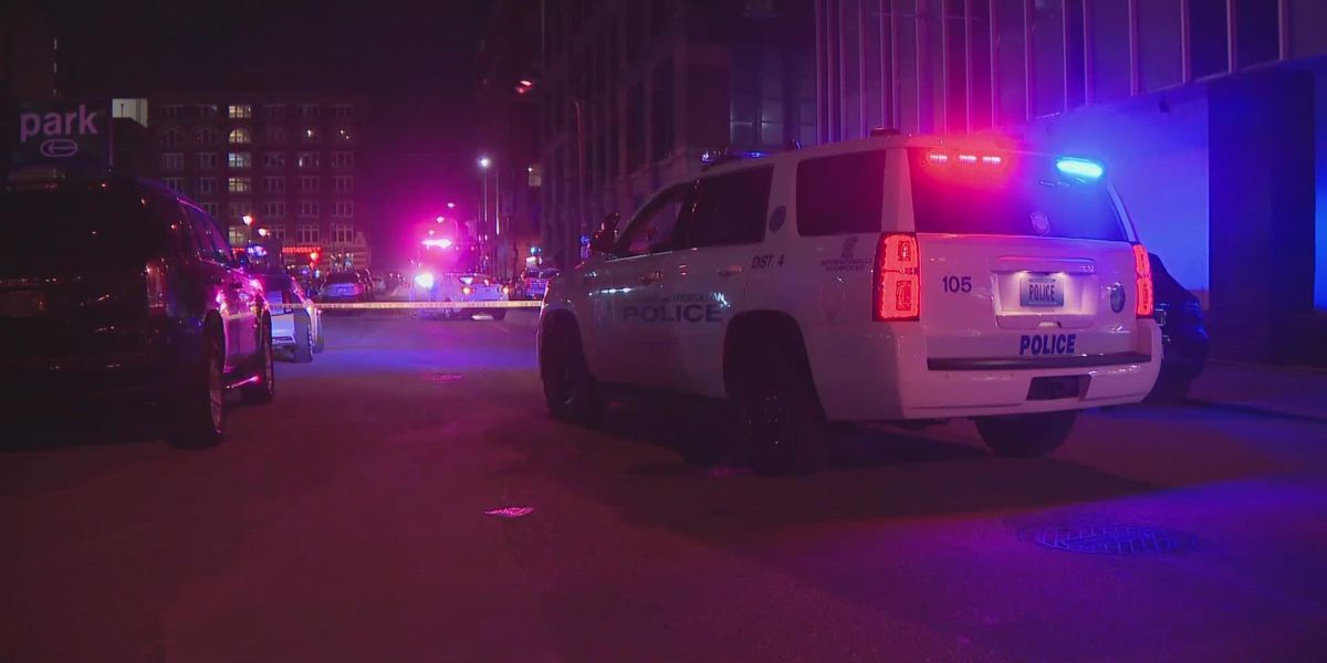 18-year-old faces Charges after Deadly Pedestrian Crash in St. Louis County