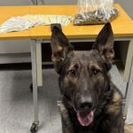 192 grams of Marijuana, nearly $1,500 in Cash busted in Wisconsin Traffic Stop