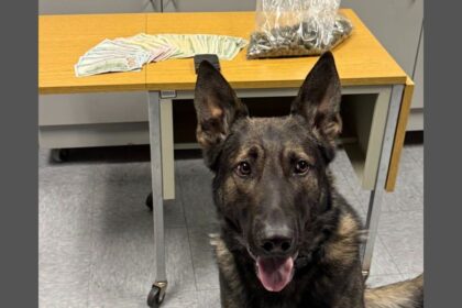 192 grams of Marijuana, nearly $1,500 in Cash busted in Wisconsin Traffic Stop