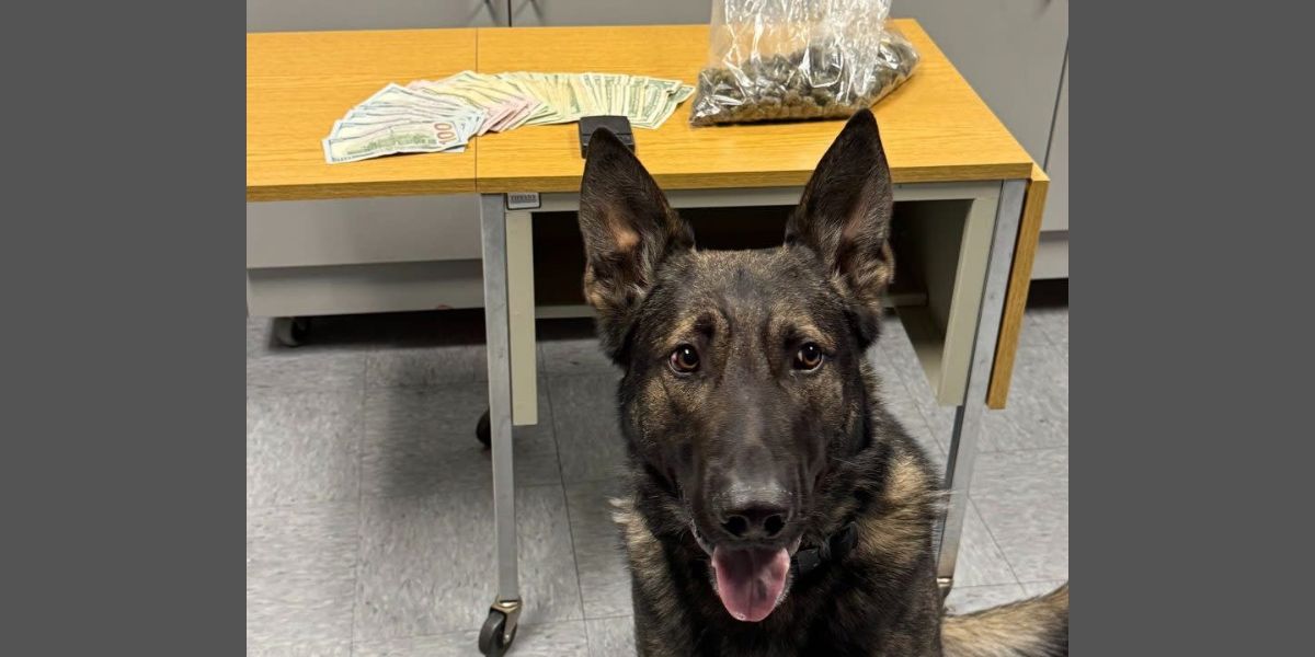 192 grams of Marijuana, nearly $1,500 in Cash busted in Wisconsin Traffic Stop