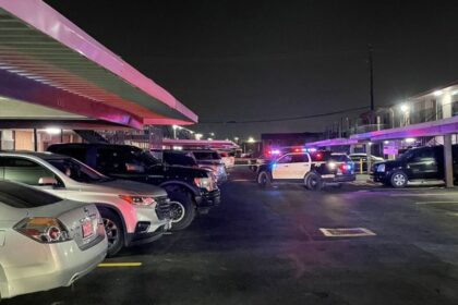 20-year-old Charged after Stabbing Woman multiple times in Houston suburb - Authorities