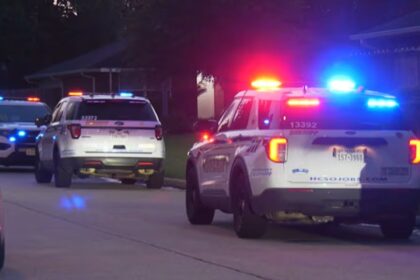 24-year-old Arrested after Allegedly Attacking Mother with Hammer in Harris County