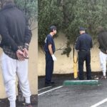 Brentwood Neighbors Outraged after Gardener Brutally Beaten by Squatter