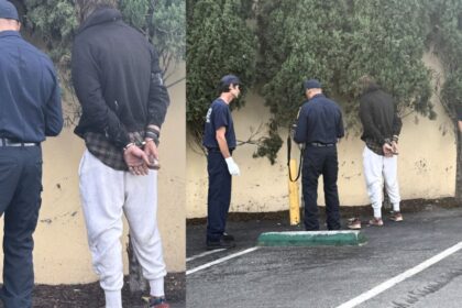 Brentwood Neighbors Outraged after Gardener Brutally Beaten by Squatter