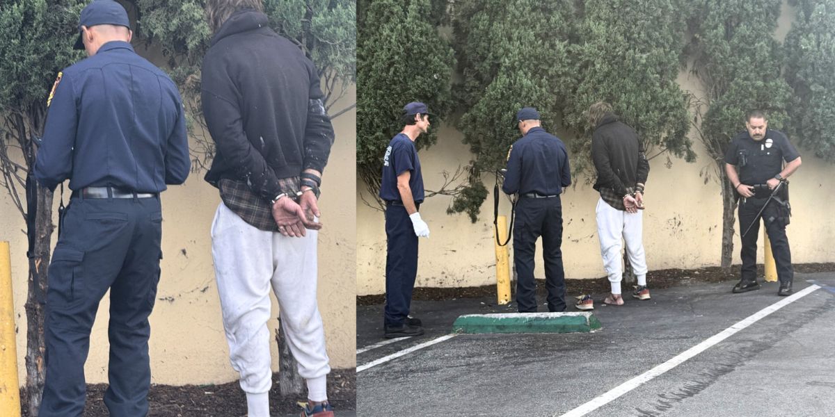 Brentwood Neighbors Outraged after Gardener Brutally Beaten by Squatter