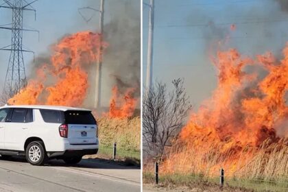 Brush fire along I-15 in Willard temporarily shuts down Southbound lanes