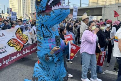 California gave $73M to Anti-Deportation groups, prompting Audit demands