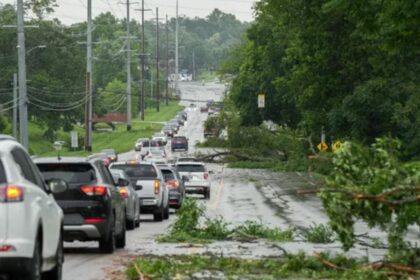 Downed Trees, Powerlines reported as Storms batter Virginia and surrounding States