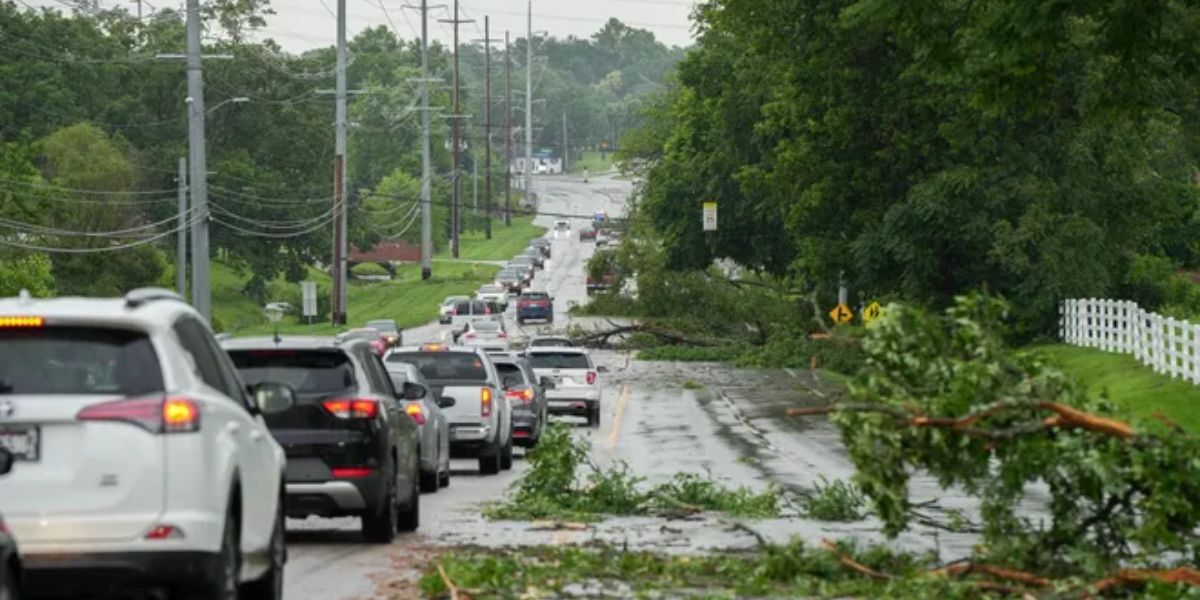 Downed Trees, Powerlines reported as Storms batter Virginia and surrounding States
