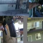 Family of Unarmed Man Killed by San Jose Police, K-9 Attack Awarded $1M