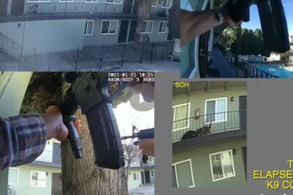 Family of Unarmed Man Killed by San Jose Police, K-9 Attack Awarded $1M