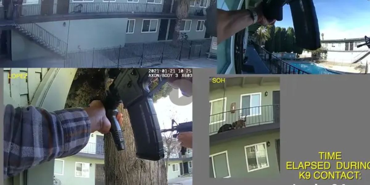 Family of Unarmed Man Killed by San Jose Police, K-9 Attack Awarded $1M