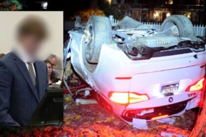 Juvenile Sentenced for Deadly 100 MPH crash that killed College Freshman in Grosse Pointe crash