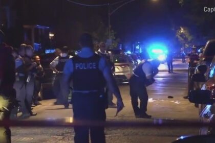 Robbery Suspect Fatally Shot by Concealed Carry Holder in Humboldt Park