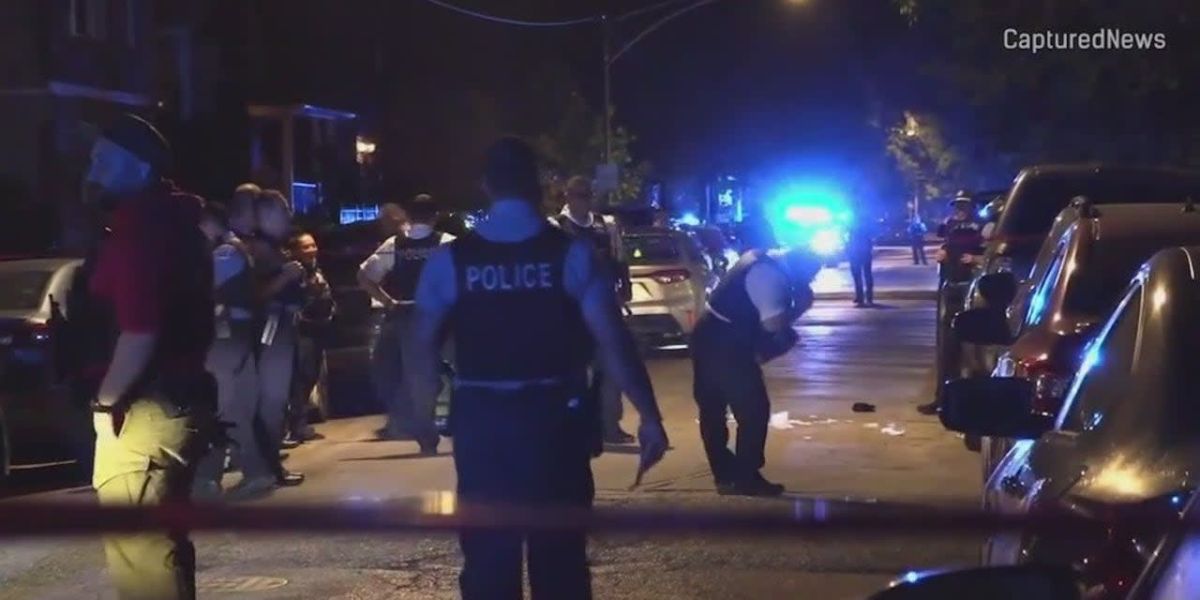 Robbery Suspect Fatally Shot by Concealed Carry Holder in Humboldt Park