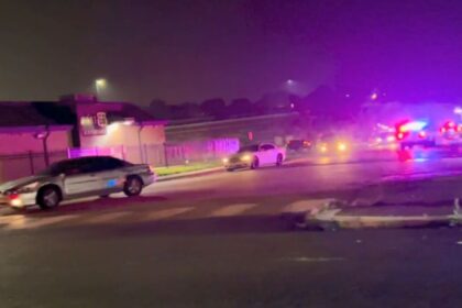 SLMPD uses Spike Strips on 40+ Vehicles during Late-Night Reckless Driving Incident