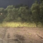 Severe Storms Hammer Wichita Area with 101-MPH Wind Gusts, Damage and Power Outages reported