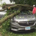 Storms Tear through Batavia, leaving behind uprooted Trees and widespread Power Outages
