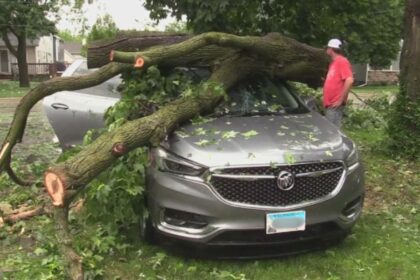 Storms Tear through Batavia, leaving behind uprooted Trees and widespread Power Outages