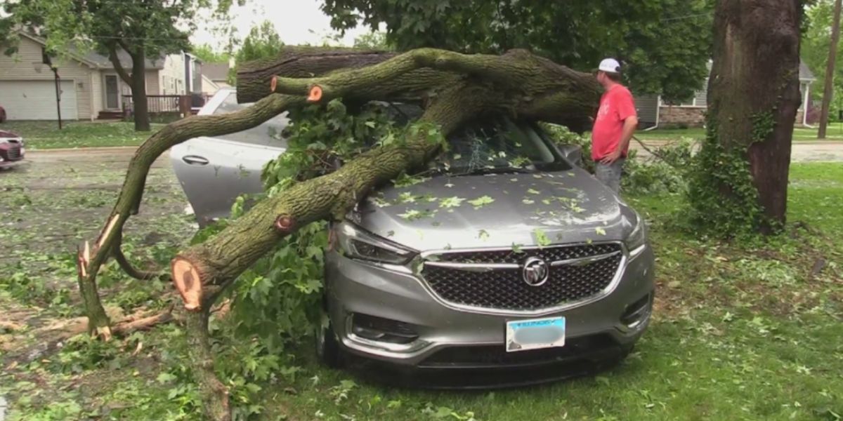 Storms Tear through Batavia, leaving behind uprooted Trees and widespread Power Outages