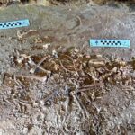 Utah Scientists discover exceptionally preserved Red Fox Skeleton in Uintah Mountains