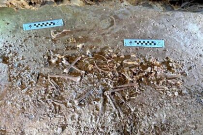 Utah Scientists discover exceptionally preserved Red Fox Skeleton in Uintah Mountains