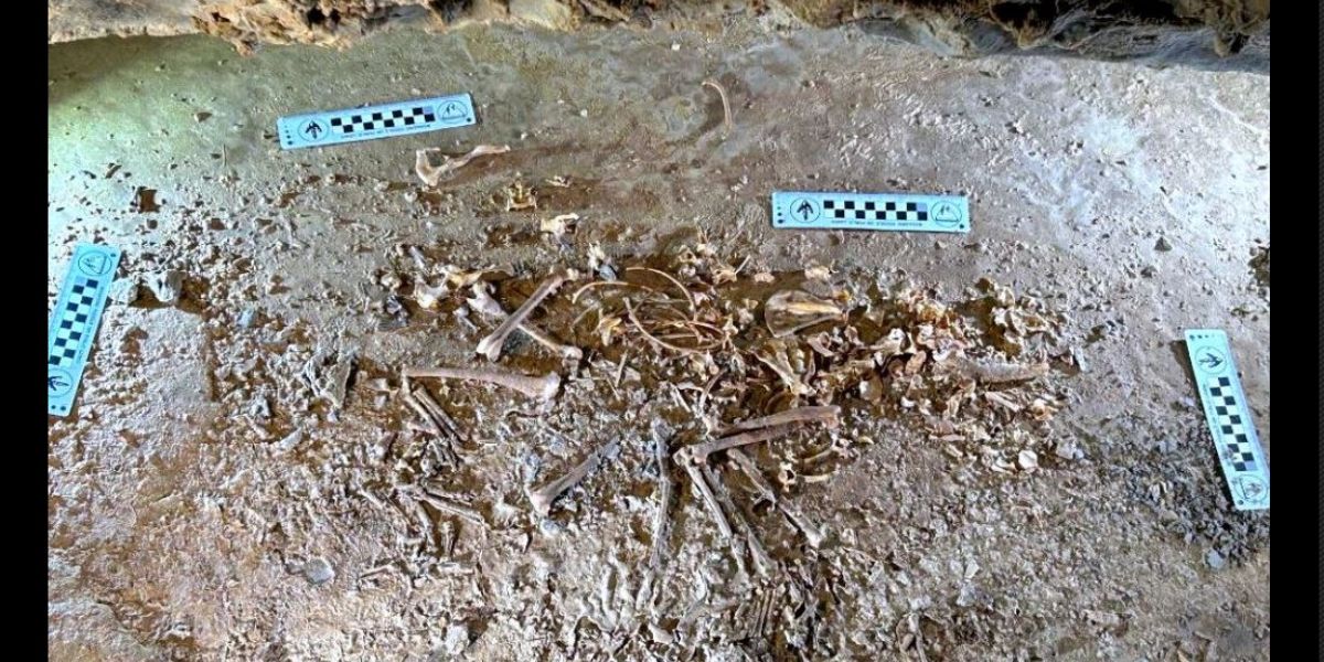 Utah Scientists discover exceptionally preserved Red Fox Skeleton in Uintah Mountains