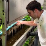 Utah Start-Up builds water-saving Modular Farms that grow greens and raise trout