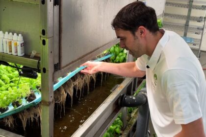 Utah Start-Up builds water-saving Modular Farms that grow greens and raise trout