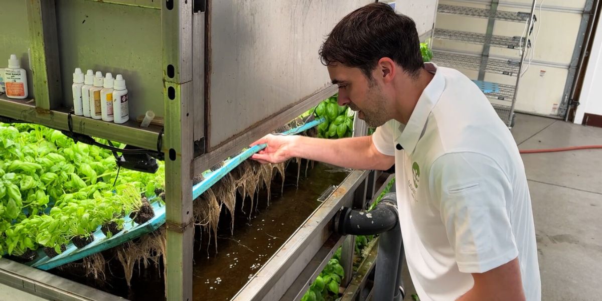 Utah Start-Up builds water-saving Modular Farms that grow greens and raise trout
