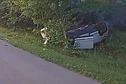 Wisconsin Man with Warrants Arrested after Fleeing Traffic Stop and then Crashing into Tree