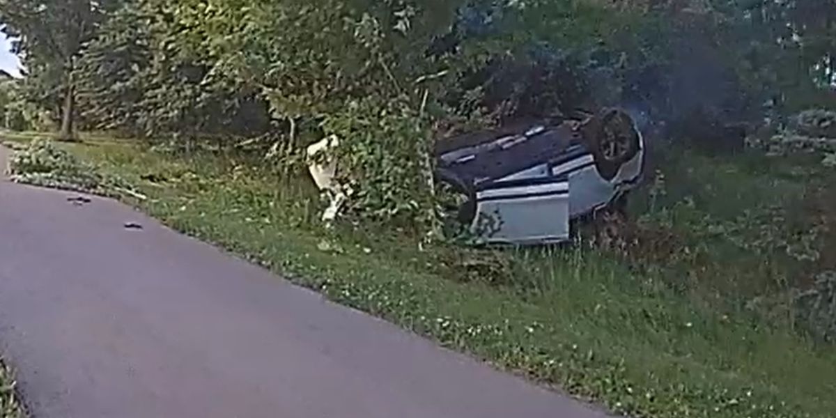 Wisconsin Man with Warrants Arrested after Fleeing Traffic Stop and then Crashing into Tree