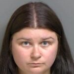 Woman Sentenced to Jail, Probation after Fatal Macomb County Crash