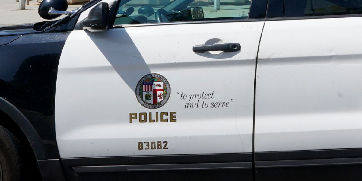 Woman injured in possible protest-related Hit-and-Run in Los Angeles