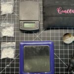 Woman on Probation Arrested with Meth and Fentanyl near Winneconne High School