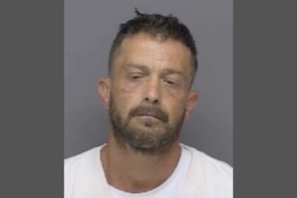 Ypsilanti Man Arrested after High-Speed Chase in Stolen Car through Livingston County